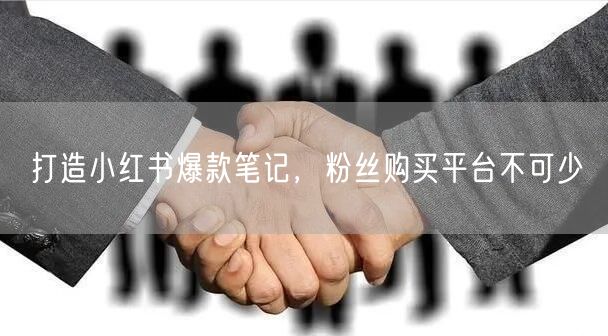 打造小红书爆款笔记，粉丝购买平台不可少