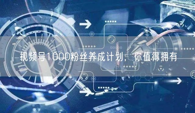 视频号1000粉丝养成计划，你值得拥有