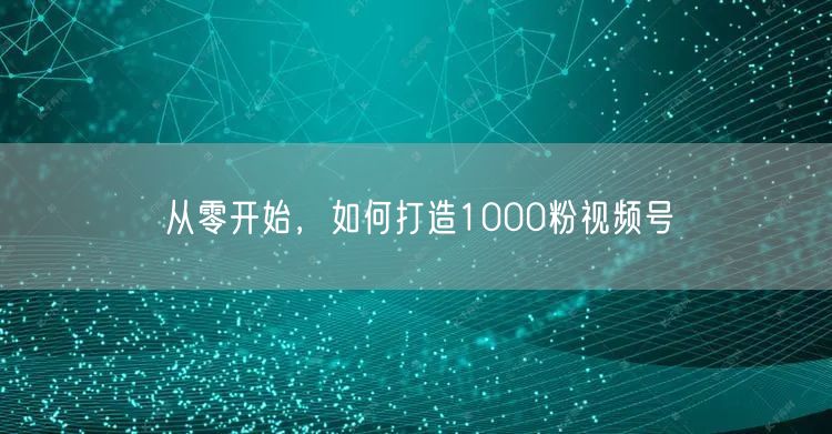 从零开始，如何打造1000粉视频号