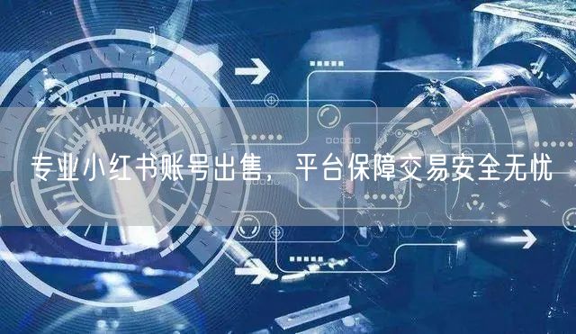 专业小红书账号出售，平台保障交易安全无忧