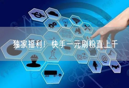 独家福利！快手一元刷粉直上千