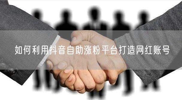 如何利用抖音自助涨粉平台打造网红账号