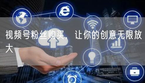 视频号粉丝购买，让你的创意无限放大