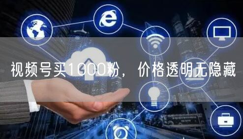 视频号买1000粉，价格透明无隐藏