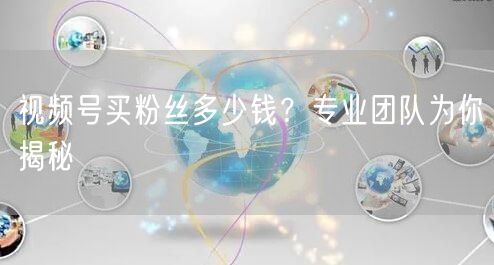 视频号买粉丝多少钱？专业团队为你揭秘