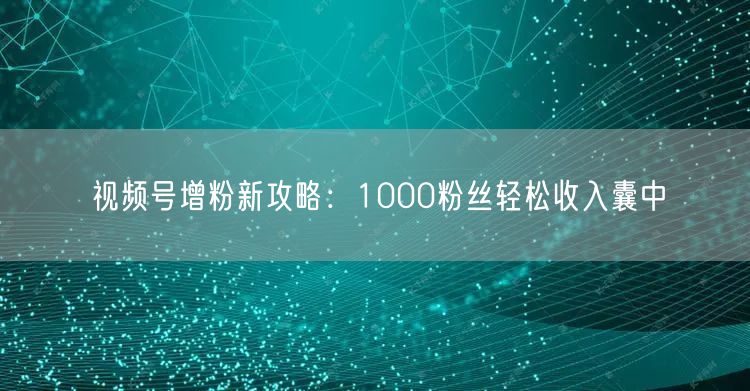 视频号增粉新攻略：1000粉丝轻松收入囊中