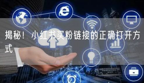 揭秘！小红书买粉链接的正确打开方式