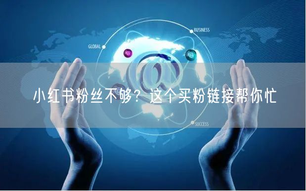 小红书粉丝不够？这个买粉链接帮你忙